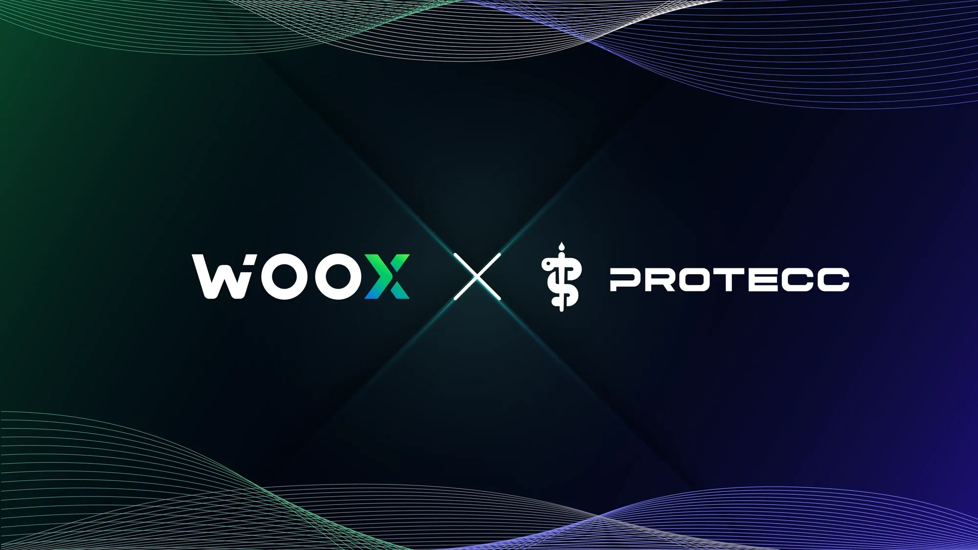 WOO X Global 看好 NFT 復興，與 NFT 演算法做市商 Protecc Labs 達成合作